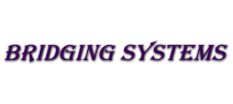 BRIDGING SYSTEMS CORP.